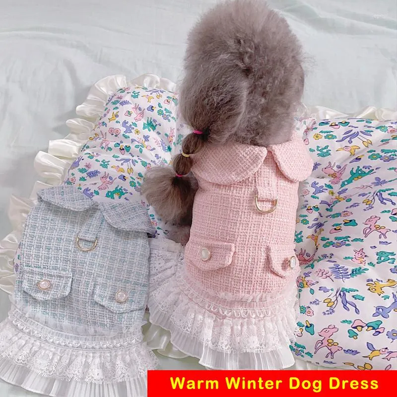 Vêtements pour chiens Robe d'hiver chaude Robe de mariage Vêtements en dentelle Jupe Chat Chihuahua Yorkshire pour petits chiens moyens Caniche Bichon Vêtements pour animaux de compagnie