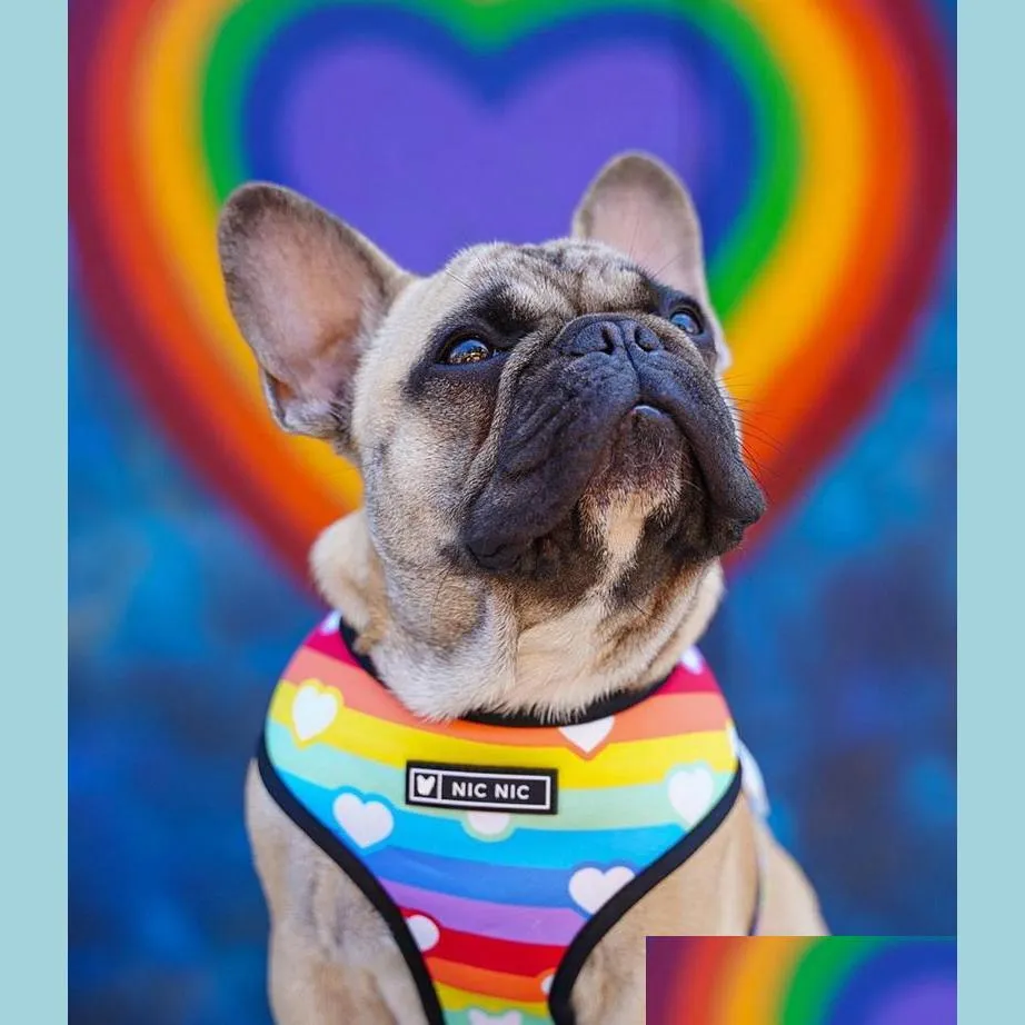 Dog Collars Leashes Dog Vest Harness No Pl Rainbow Printed Harnesses And Leashes Set Breathable Mesh Padded Puppy Collars For Small Oto4F