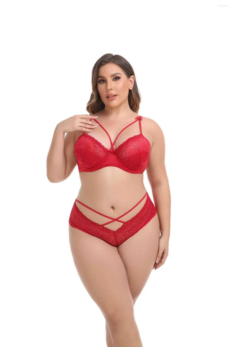 What is Ladies Plus Size Bra Sexy Underwear Set with Lace Around