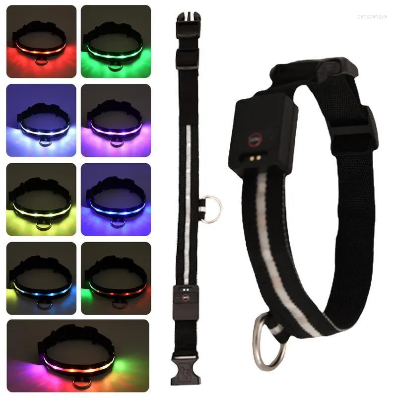 Collari per cani Collare luminoso Ricaricabile Resistente all'acqua Sicurezza per cani Pet Glow Night Walking Con luminoso e