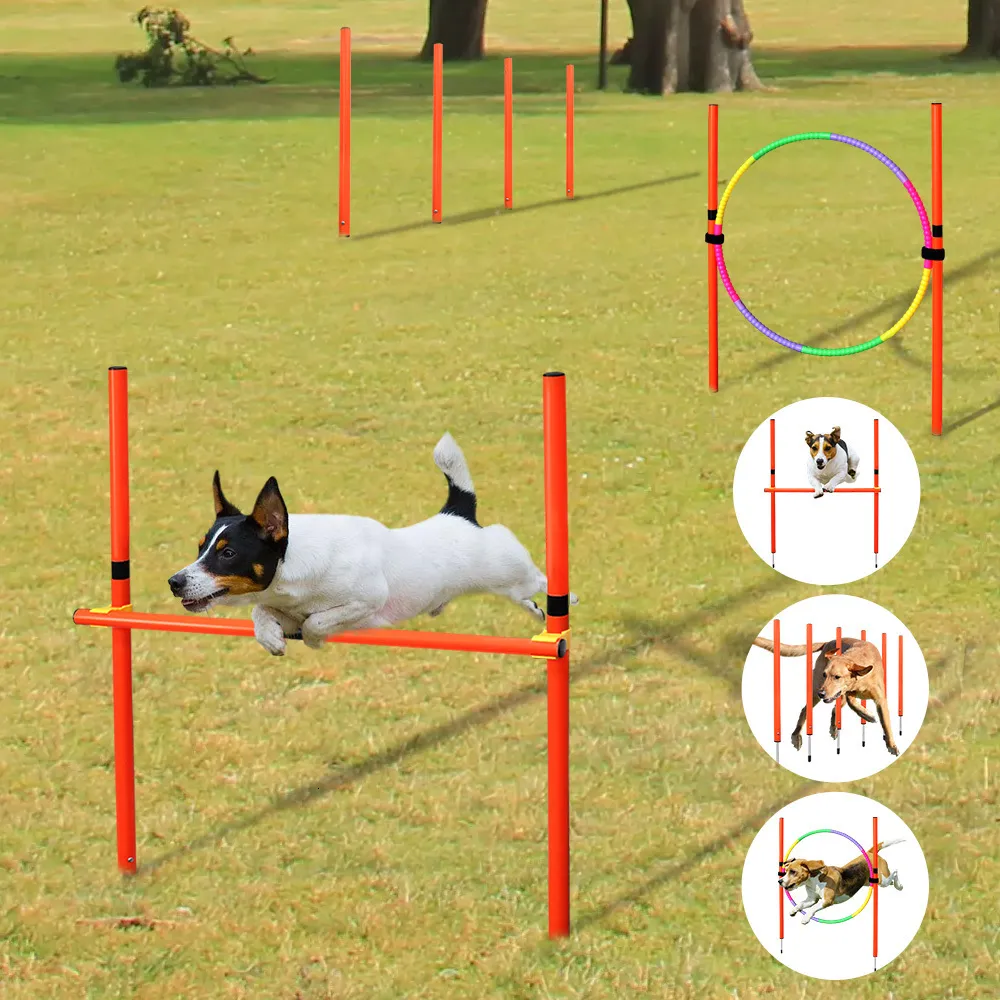 犬の襟のリーシュ犬の俊敏性トレーニング機器屋外ポータブル犬の障害物トレーニングセット犬ジャンプランニング杭スポーツステークポールサプライ230908