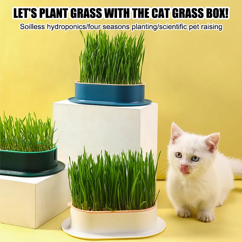 その他の猫は、ペットグラスポットポット水耕植物植物セットスナックにヘアボールクリーニング胃草食動物230907