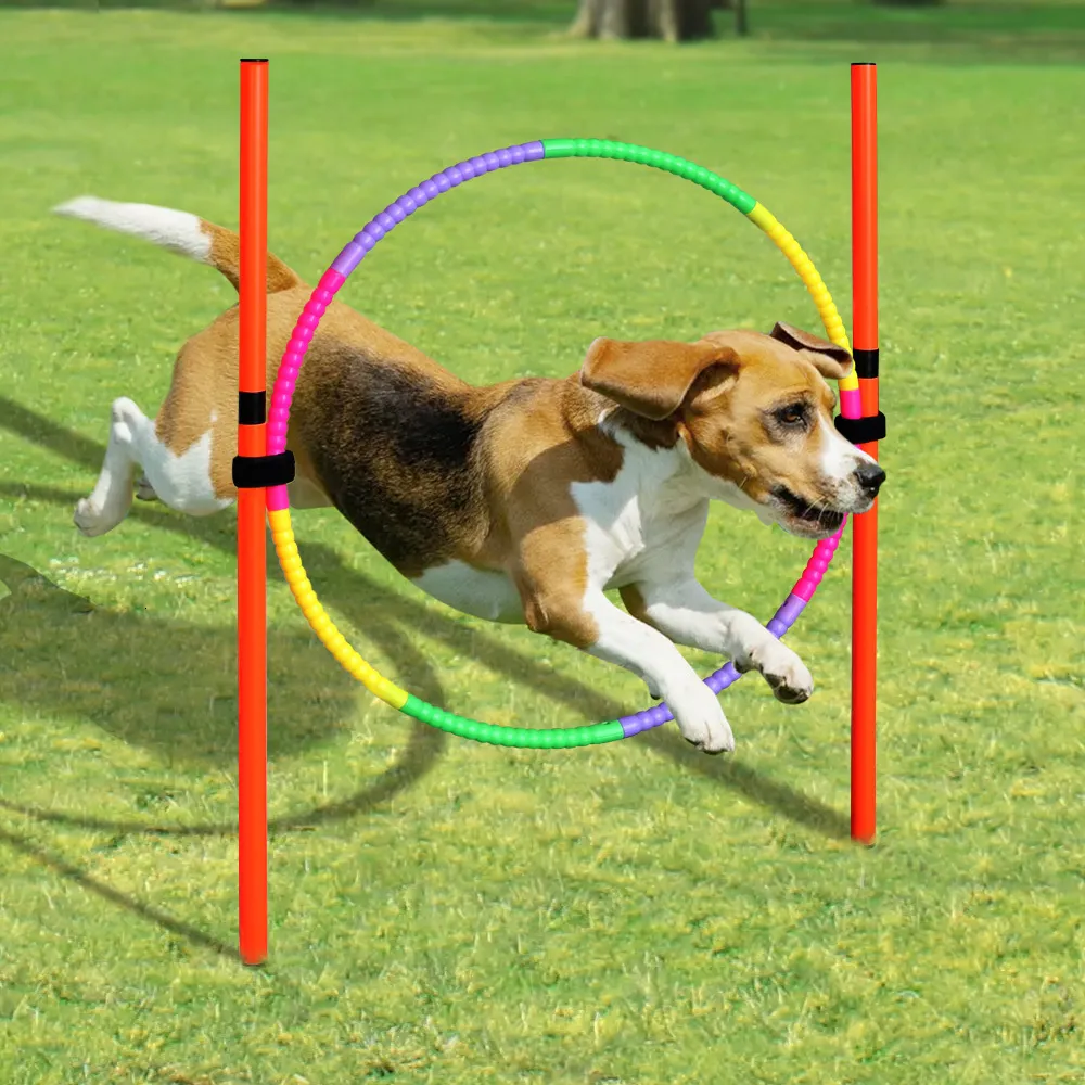 Hunde-Agility Parcours Set – 17-teilig Mit Tunnel, Sprungring & Hürden Für Garten- Und Indoor-Training