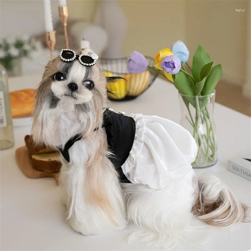 Odzież dla psów pomorskie ubrania mała sukienka Puppy Costume Princess spódnica pudle maltańska bichon schnauzer Yorkie Pet xxs