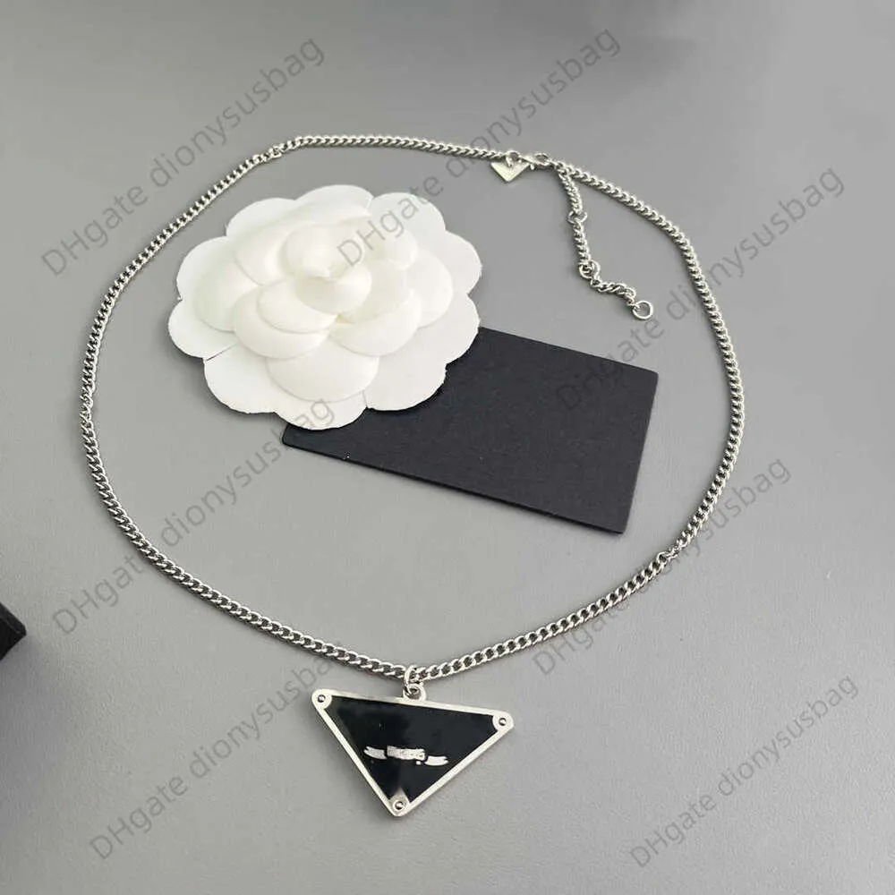 Designer sieraden ketting Verkoop van nieuwe zware industrie driehoekige metalen zwarte dropping oliebrief fijne ketting