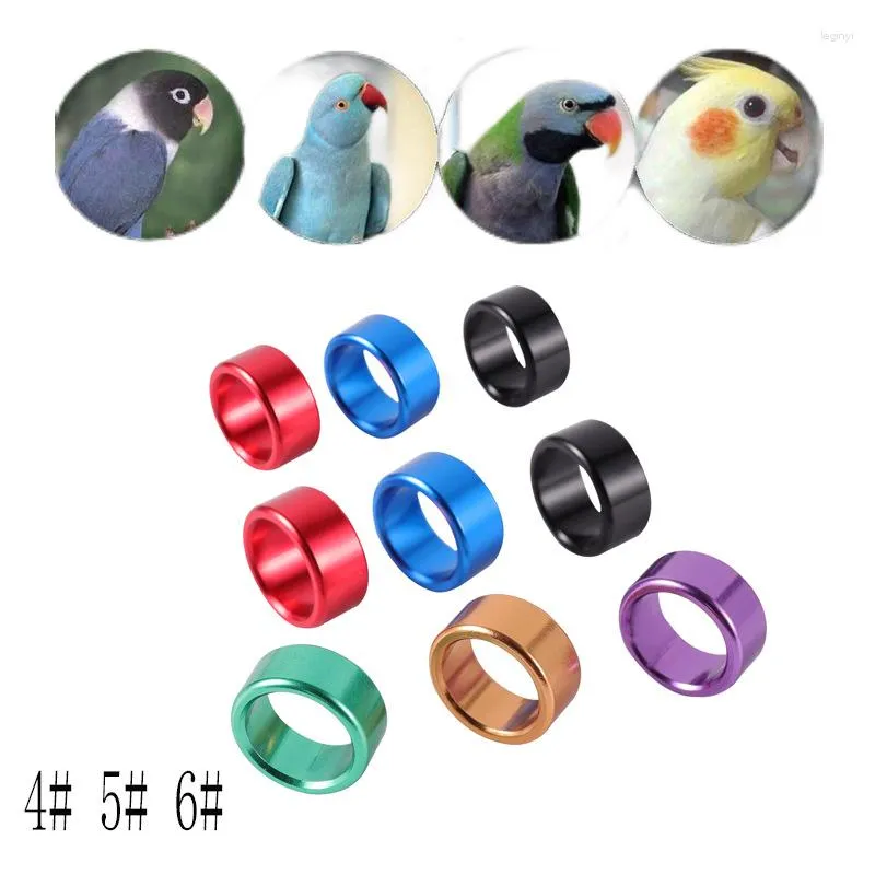 Autres fournitures d'oiseaux 10 pièces tube droit en aluminium anneau de pied en alliage plat bébé identification de couleur