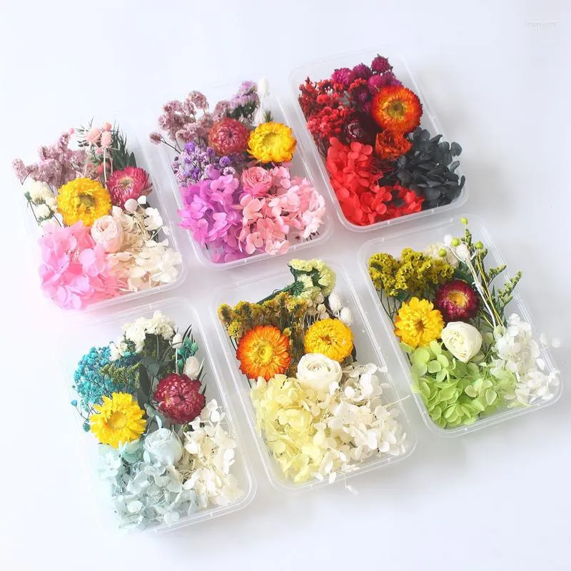 Dekorative Blumen Home Decor Flores Secas Mix gepresstes getrocknetes Gypsophila für Seife Kerzenherstellung Dekoration DIY Ornament Scrapbooking