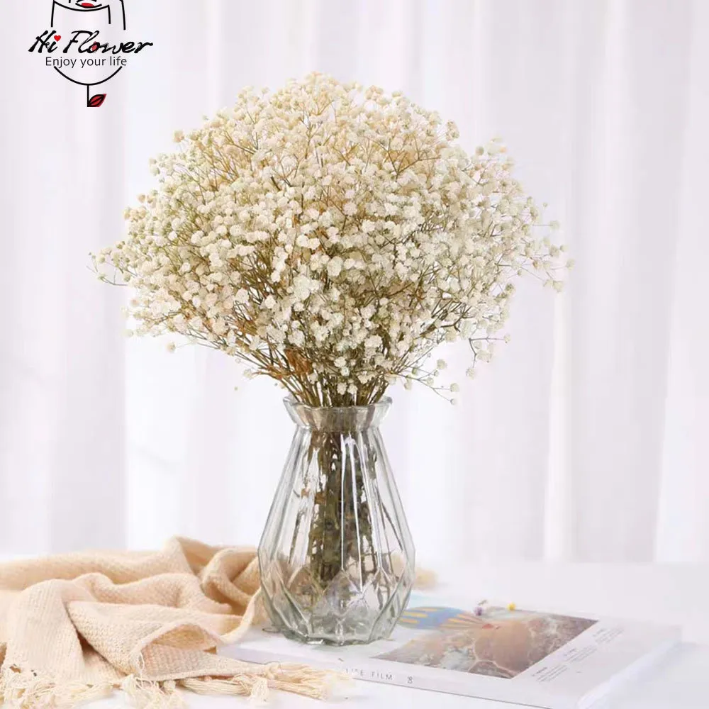 Paniculata natural - Love and Fest