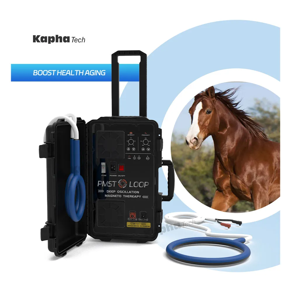 Equine Loop PMST Magnetic Therapy For Horse Hock And Knee Disease Physiotherapy Machine