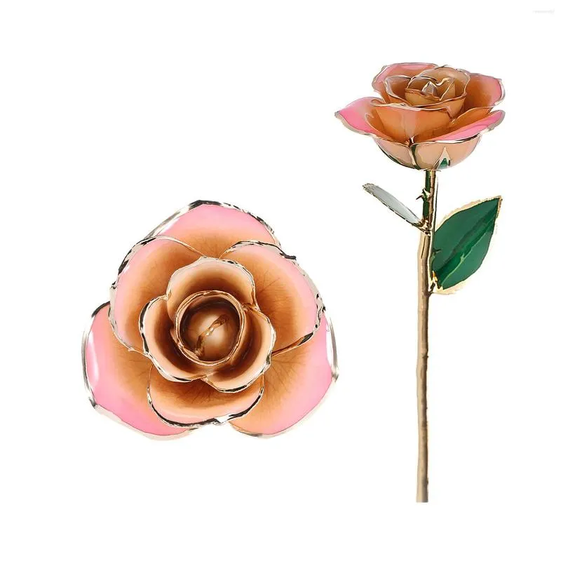 Flores decorativas haste longa 24k ouro mergulhado rosa artificial eterna em caixa de presente aniversário dia das mães para meninas mulheres