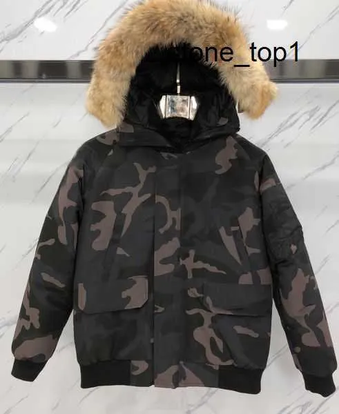 Kanada herr parka kanda gåsjacka designer down jacka canada good jacka stil män downs gåsjacka rockar broderi vit anka outwear kanadensiska gås 7 7h3x