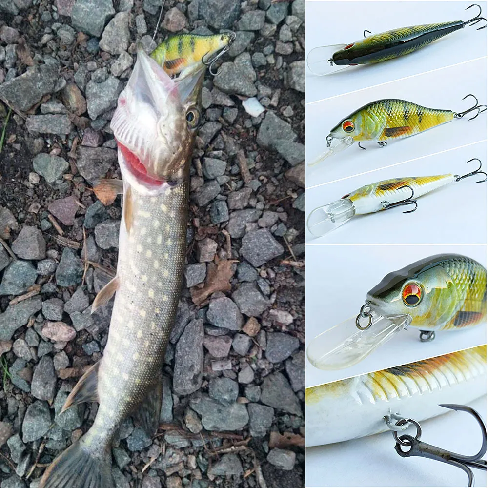 best reel for 5 weight fly rod Crystal Creek Combo Kit Model:LT4000S-C Gamakatsu Baitholder Hooks Size but finding the right depthhunter