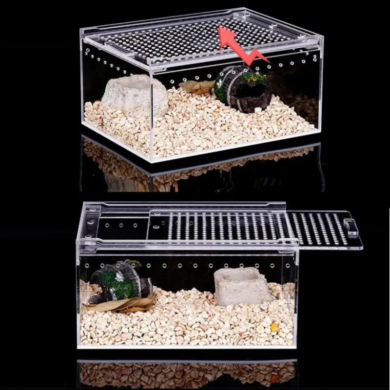 Fournitures de reptiles Boîte d'élevage en acrylique transparent Araignée Lézard Amphibien Terrarium Étanche Habitat pour animaux de compagnie Tarantule arboricole Enclre 230909