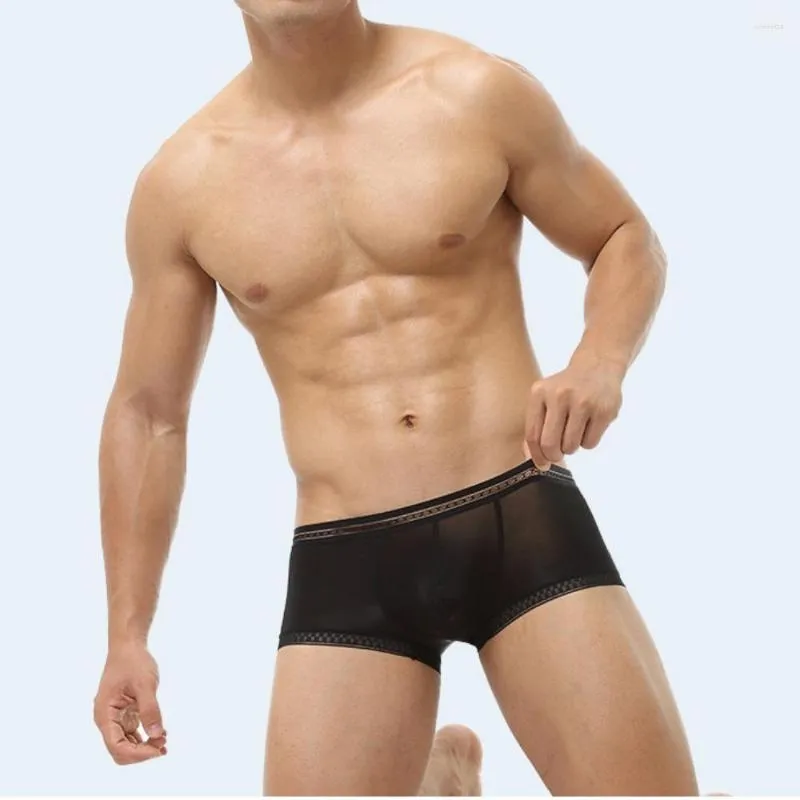 Sous-vêtements sexy hommes glace sous-vêtements en soie haute élastique taille basse translucide slips intérieur gay grand convexe hommes sissy boxer