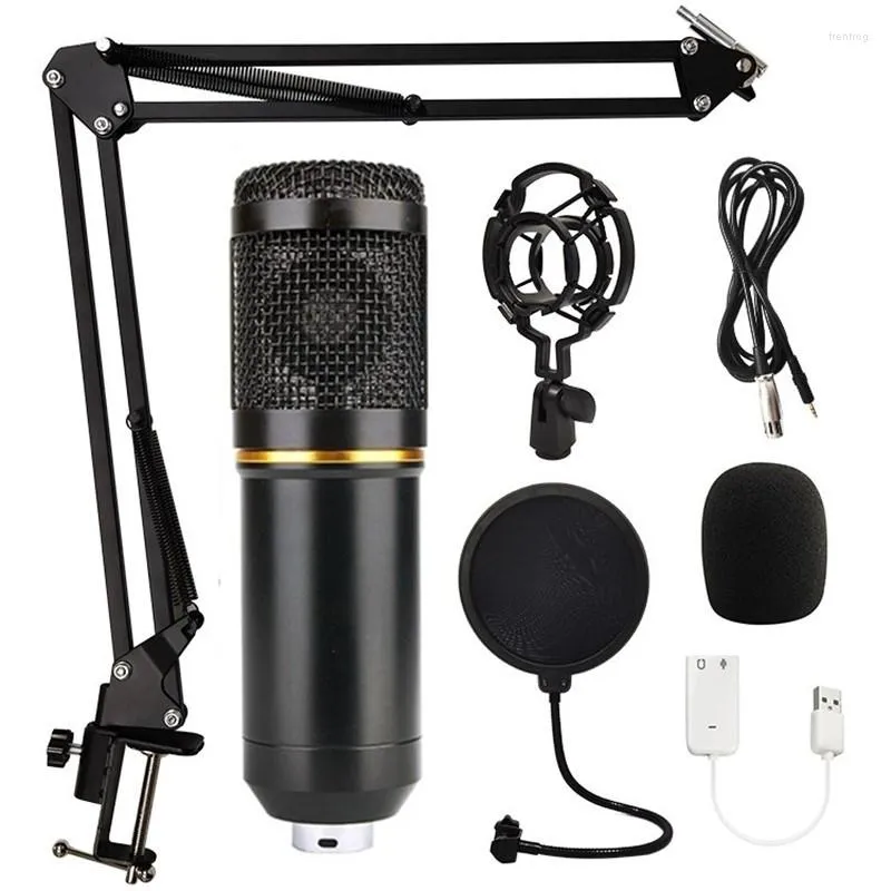 Mikrofoner BM 800 Microphone Condenser Professional Home Studio BM800 Inspelning för datorljudkort