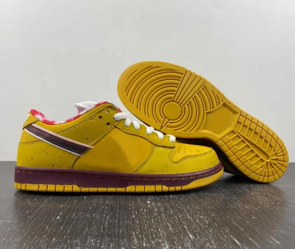 Sb yellow outlet lobster