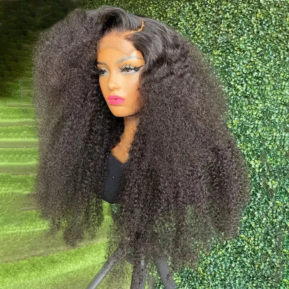 DHgate.com:HD Lace Front Human Hair Wigs for Black Women