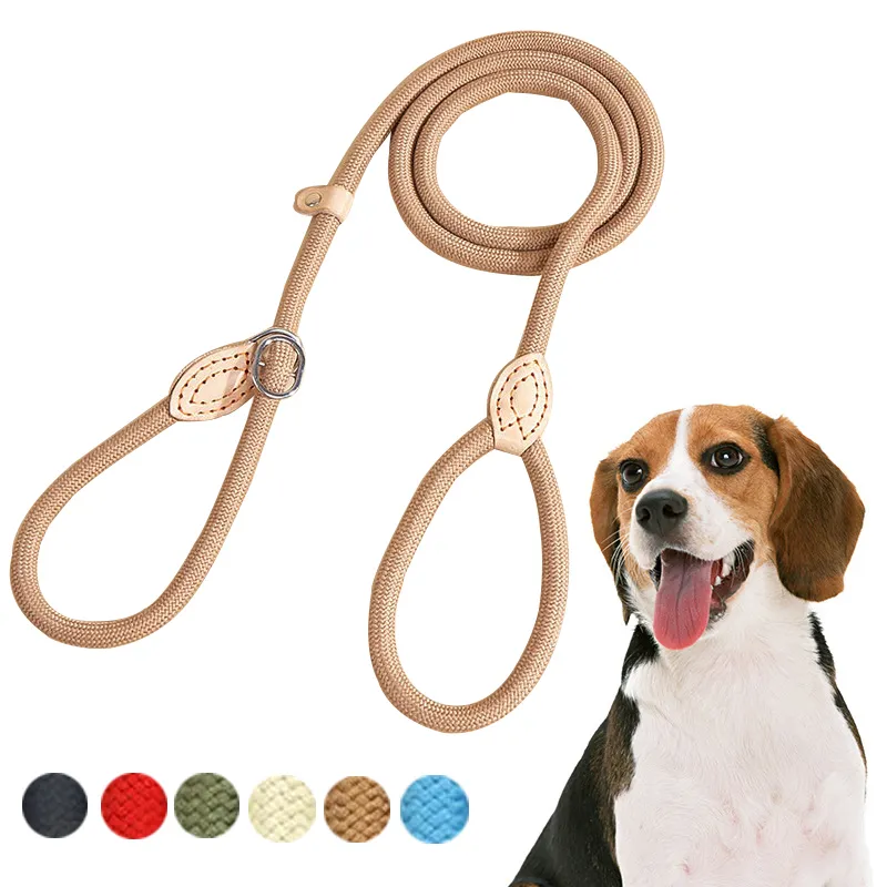 Nylon Duable P Chain Training Dog Leash Strong Heavy Duty Pet