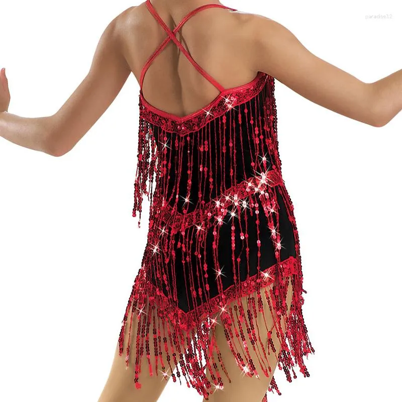 Latin Dance Dress Women Samba Salsa Spandex Sequin Fringe Size XSC from  Dhgate Stage Wear - price 63.96
