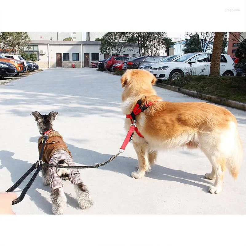 Collari per cani Doppio guinzaglio di sicurezza regolabile durevole per due cani Controllo di ritenuta Doppia corda a 2 vie per animali domestici che camminano
