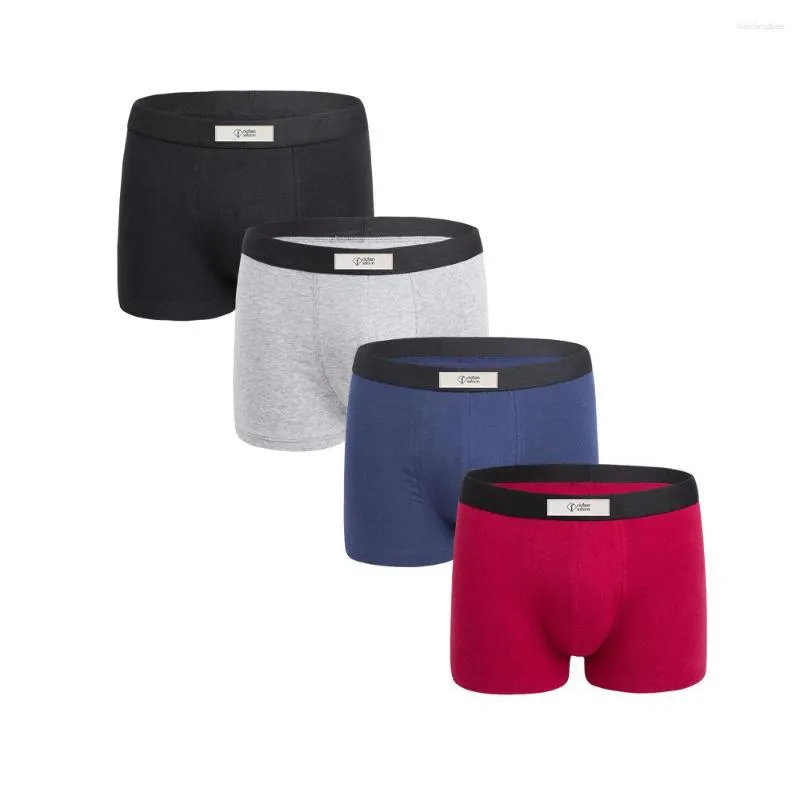 Sous-vêtements Feichan Ashion Sous-vêtements en coton pour hommes Épaississement d'hiver Boxer thermique pour hommes Pochette de soutien Pantalon court Homme