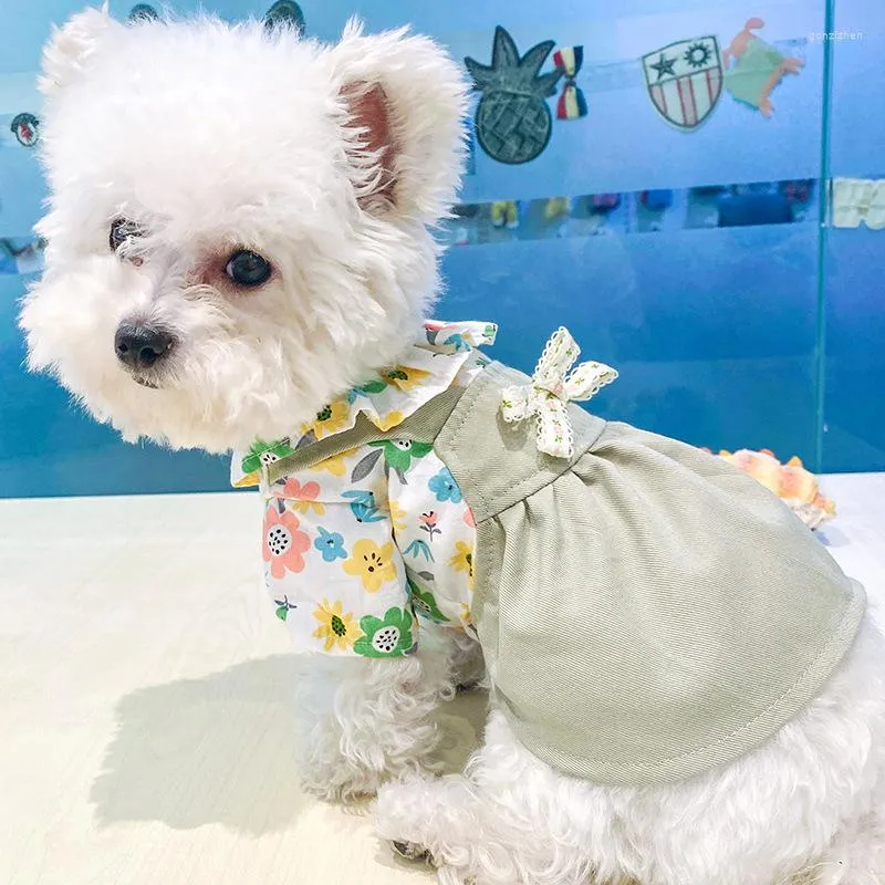 Vêtements pour chiens Robe Chat Jupe Printemps Automne Pet Chiot Yorkies Poméranie Shih Tzu Caniche Bichon Schnauzer Vêtements Vêtement XS