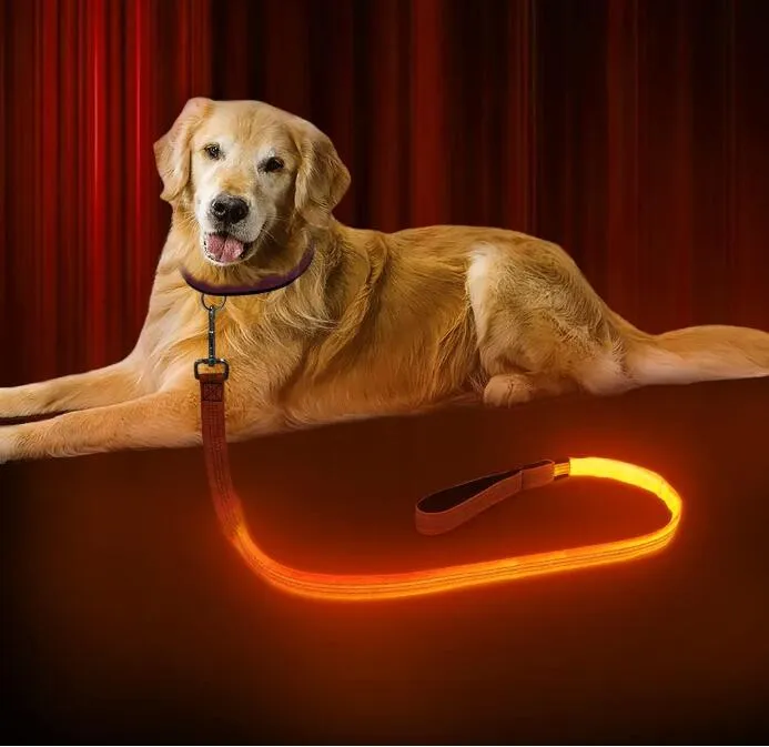 120 cm LED nylonowy glow pies smycze smycze Pets Puppy Training Straps pies ołów lina smyczowa samochód bezpieczeństwa bezpieczeństwa Pet Pet Zapasy Q567