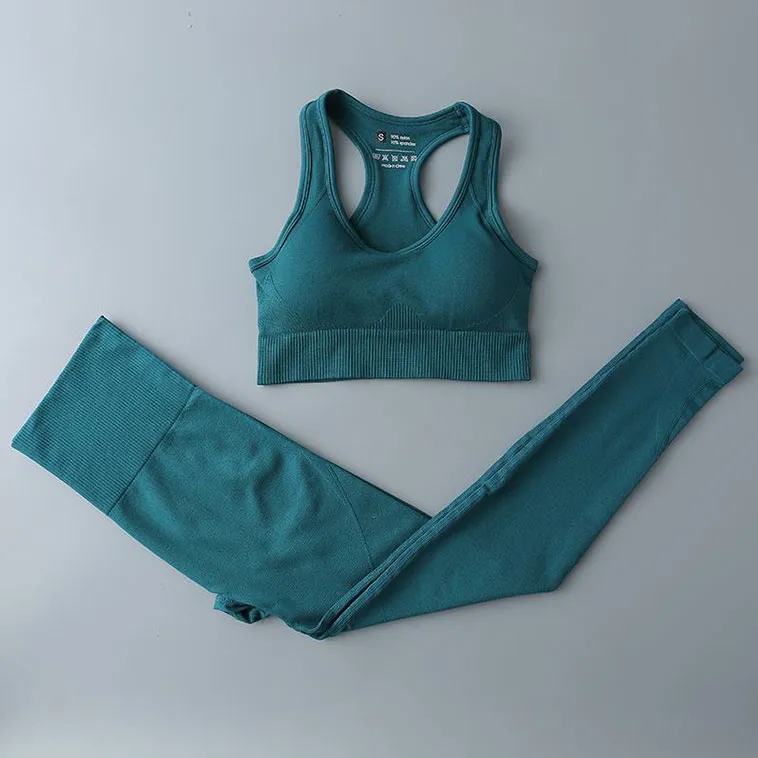 Vêtements de Sport 2 pièces pour femmes, vêtements de Fitness, pantalon d'entraînement, Leggings sans couture, soutien-gorge de Yoga, haut court, costume d'entraînement actif