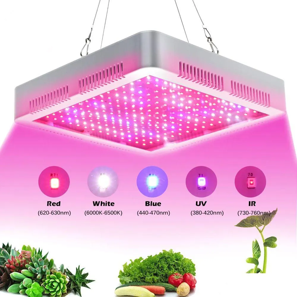 Luces de cultivo Fl Spectrum Light 2000W Interruptor único de doble chip para tiendas de campaña Ered Casas verdes Plantas Sistemas hidropónicos Vegetales Flor de interior Dr Dhcoa