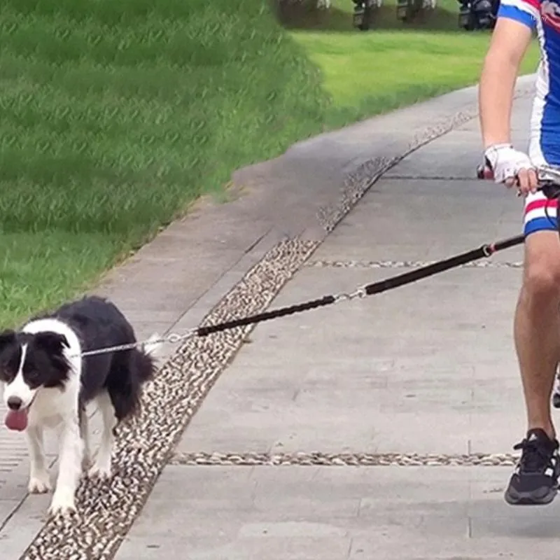 Porte-chien, laisse de vélo, corde de traction pour animaux de compagnie, tractions de marche en plein air, harnais pour chiots, petits chiens