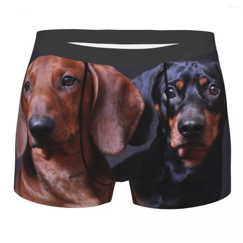 Sous-vêtements hommes Boxer sous-vêtements sexy doux longs Boxershorts mignon teckel chiens culotte mâle