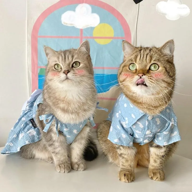 Abbigliamento per cani Gatto Abito da principessa in cotone Abito estivo Fiocco blu Fionda Camicia maschile bella Vestiti per coppie di animali domestici