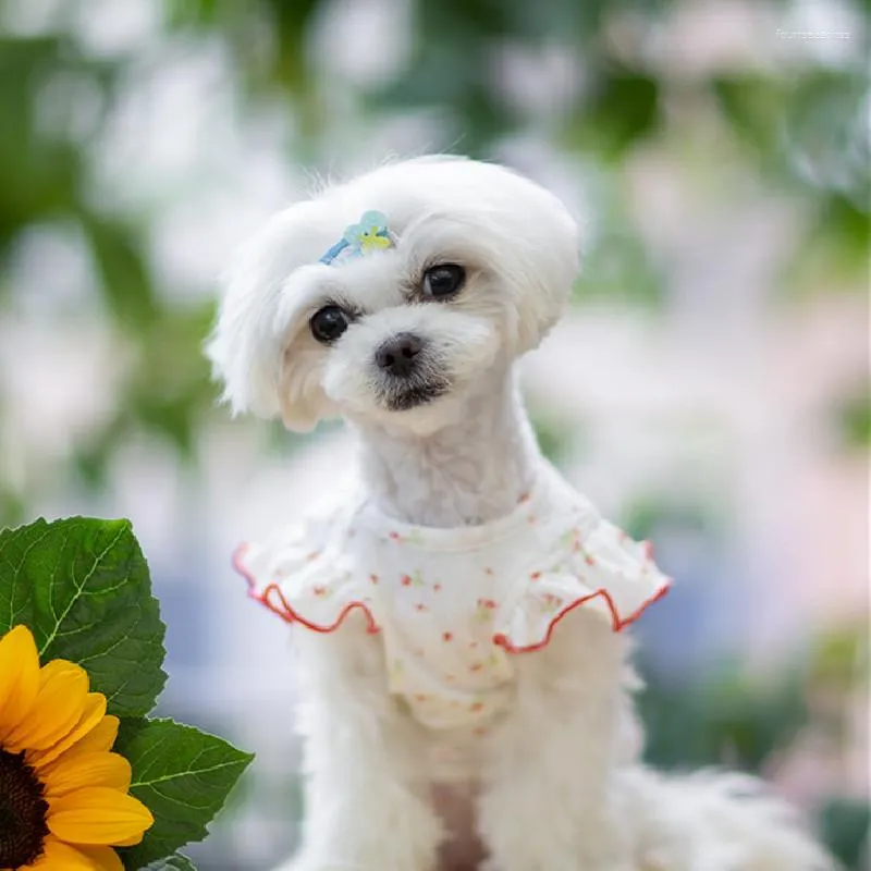 Dog Apparel T-shirt xxs xs Małe ubrania koszulka Chihuahua odzież Yorkshire Pomeranian Puppy Costumes Stroje