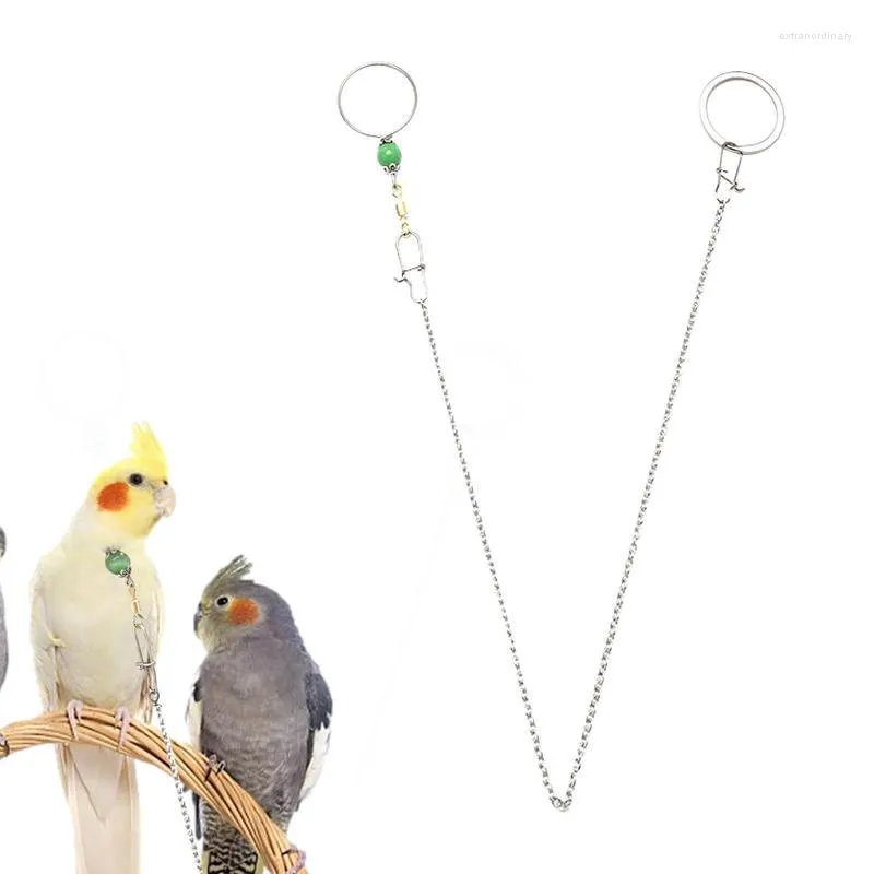 Autres fournitures d'oiseaux Collier de cou de perroquet Boucle de sécurité en acier inoxydable Conception Laisse de chaîne d'ara pour l'entraînement à la marche avec des anneaux à 8 caractères