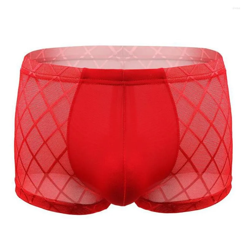 Onderbroeken Heren Olie Glanzende Boxershorts Sexy Ondergoed Mesh Boxershorts Ardennenzakje Elastisch Slipje Ademende Lingerie