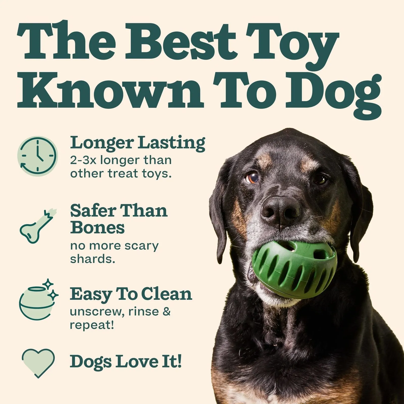 Fillable dog bones hotsell