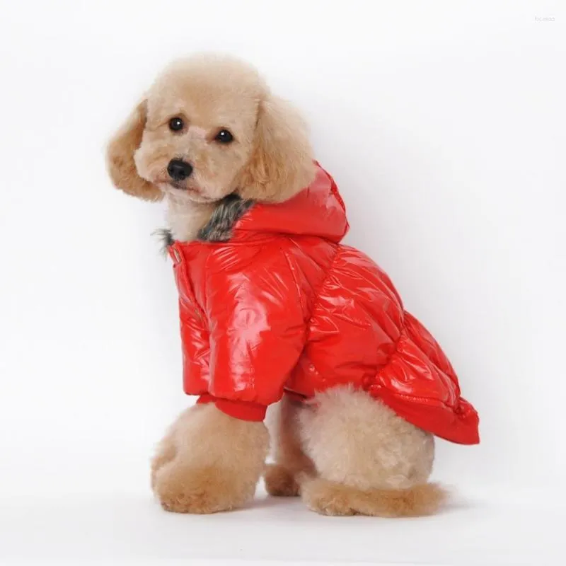 Vêtements pour chiens Veste à capuche imperméable Designer Manteaux d'hiver chauds Vêtements pour animaux de compagnie Taille X-XXL à petits vêtements de grande taille