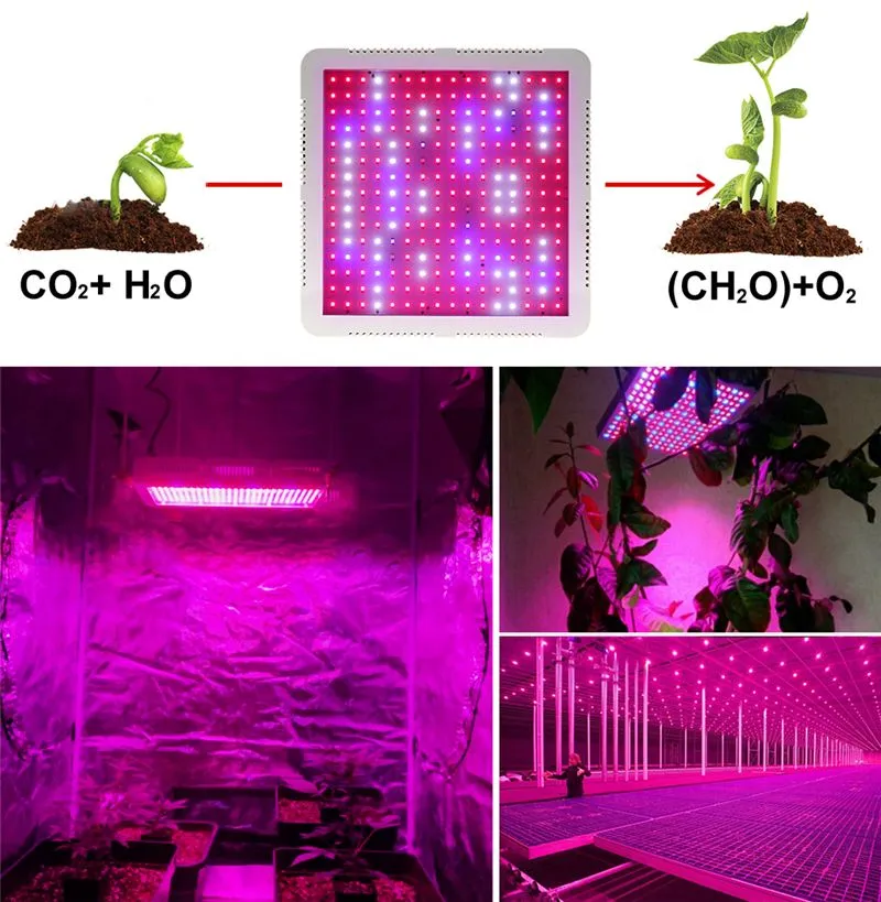 Full Spectrum LED Grow Light 2000W With VEG And BLOOM Double Switch Plant Lamp for Indoor Hydroponic Seedling Tent Greenhouse Flower