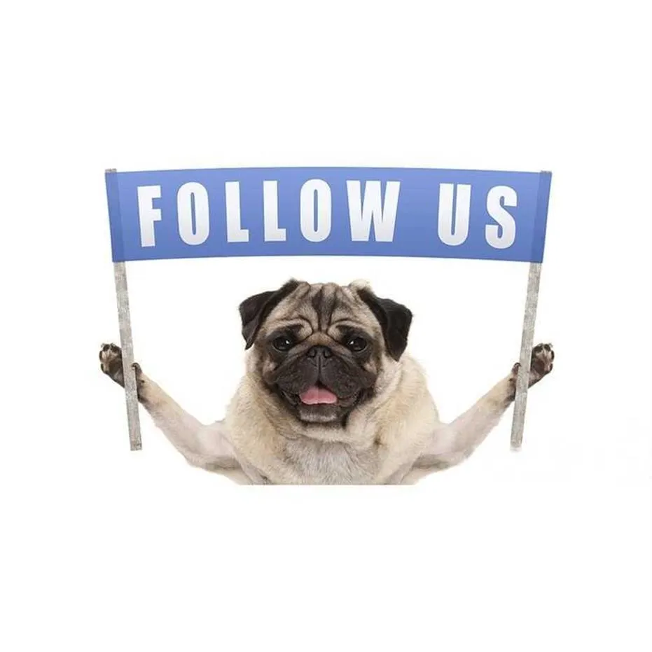 Pug puppy sweater discount