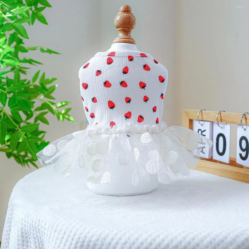 Abbigliamento per cani Cani e gatti Abito da sposa Design a pois fragola Gonna per cucciolo di animale domestico Abbigliamento primavera/estate