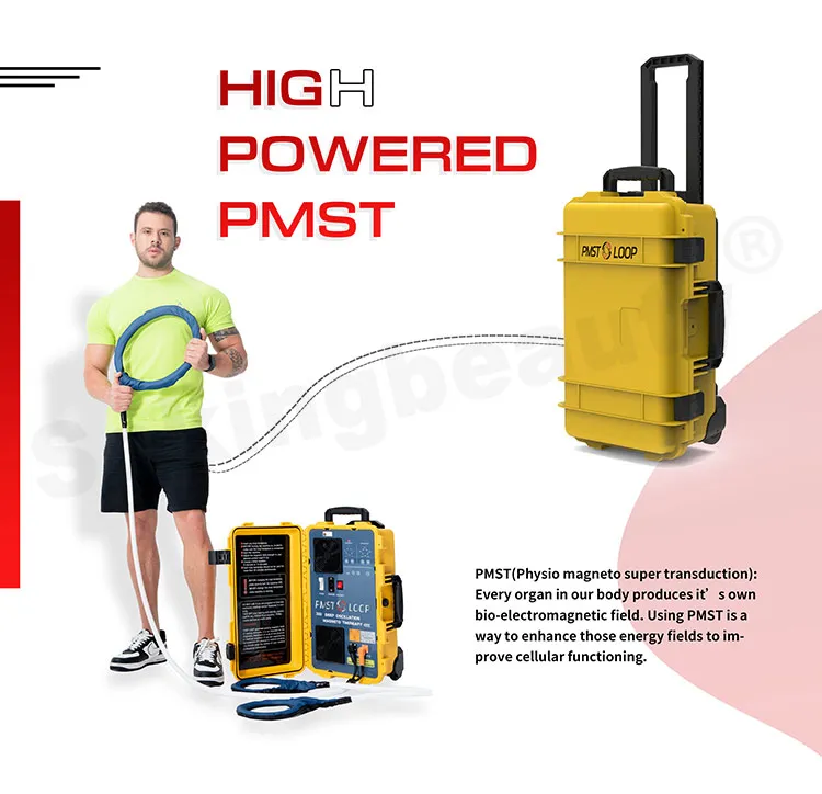 6000 Gauss Big Power Human Health Care Physiotherapy Machine PMST LOOP Magnetic Therapy For Pain Relief Bones Repair Physio Magneto PEMF Machine Human use pmst magnetic therapy machine for pain relief - Honkay pemf therapy machine for humans,pulse pemf therapy machine,pemf machine for people,pemf machine,pemf device
