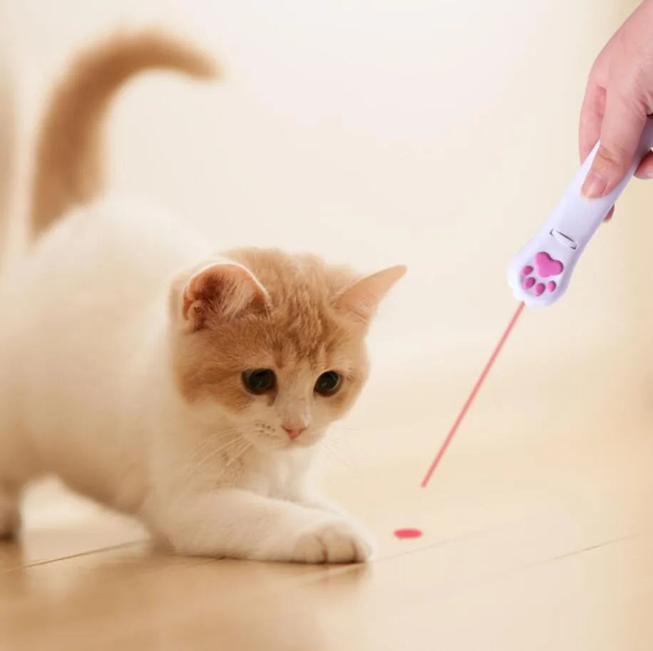 Laser Cat Teasing Stick Punto rosso Puntatore luminoso a LED Giocattoli interattivi Cacciatori di cani gattino Addestramento Accessori per animali domestici Teasers