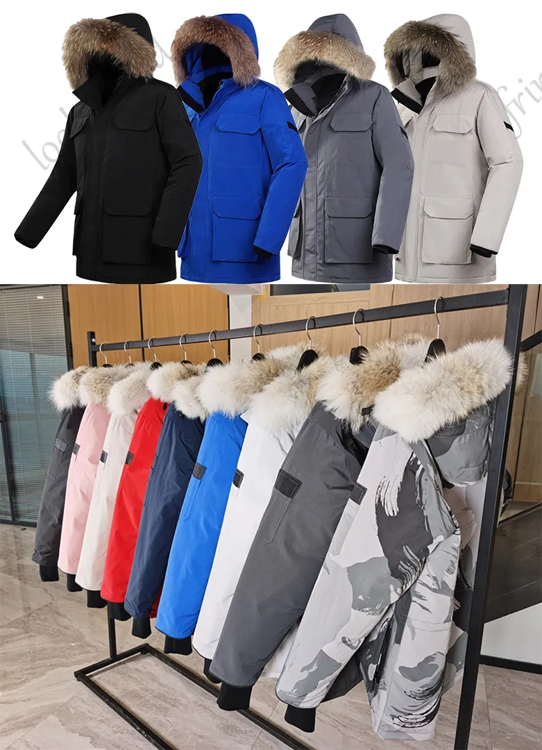 Doudoune retail royal polo