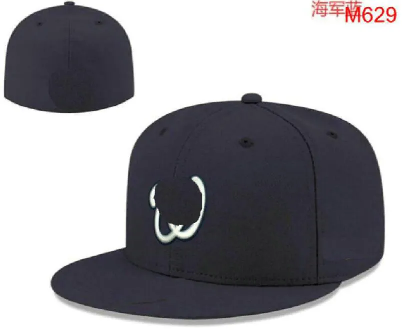 Męski Waszyngton Baseball Pełne zamknięte czapki Sumning Snapback Sox W liter Bone Kobiety Kolor Kolor WSZYSTKIE 32 Drużyny Casual Sport Flat Hats NY Mix Kolory Rozmiar Casquette