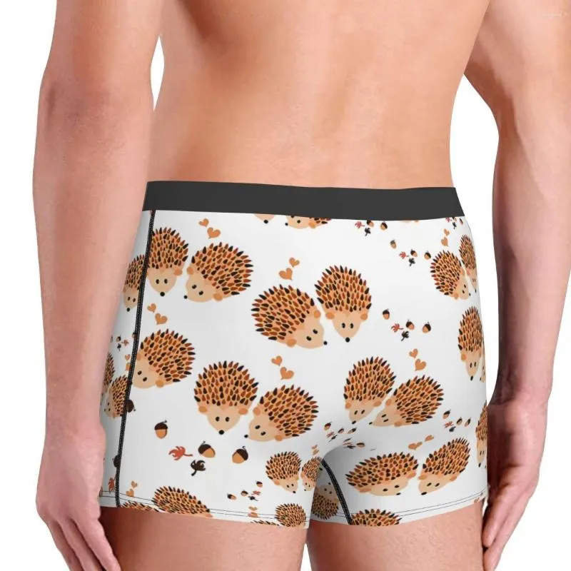 Mens Comfortable Hedgehog Autumn Boxer Funny Boxer Briefs Underwear From  Aridyane, $25.93