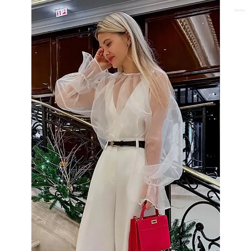 Autumn Party Organza Blouse: Transparent Organza With Puff Autumn Party Organza Blouse: Transparent Organza With Puff