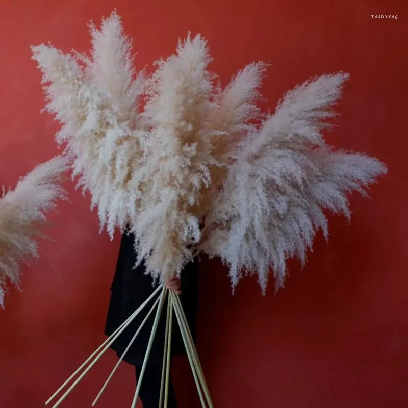 Dekorativa blommor 120 cm stora pampas gräsbukett fluffig torkad blommor arrangemang naturliga växter diy hantverk bröllop fest dekoration