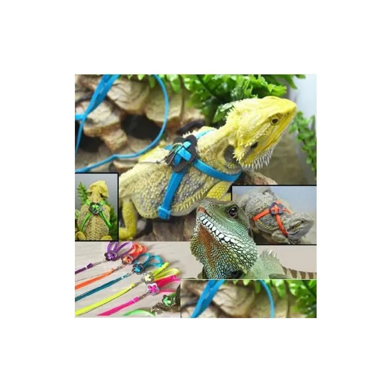 Jeux de nouveauté Formation réglable Marche Oiseau Perroquet Laisse Courir Nylon Traction Corde Harnais Reptile Lézard Mticolor Pet Toy Drop de Dhzbf