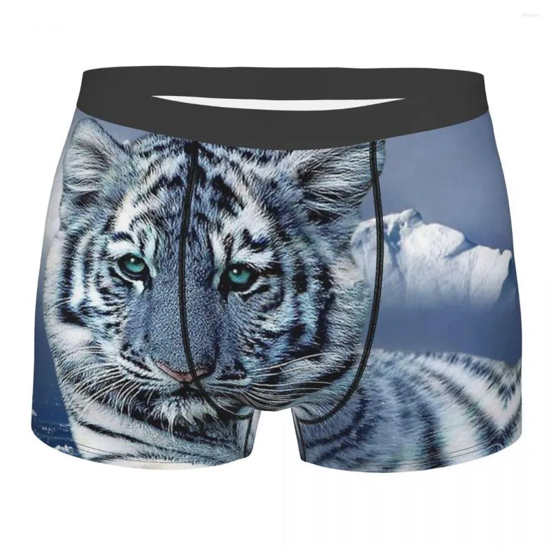 Caleçon tigre roi de la forêt Animal bleu blanc Homme culotte short Boxer slip sous-vêtement Homme imprimé