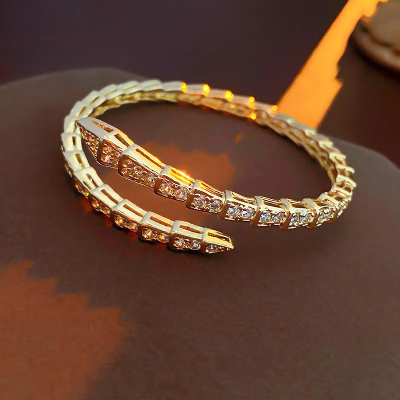 Designer armband bedelarmbanden slang bot zirkoon slangvormige open armband volledige diamanten armbanden